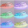24VDC RGBWW LED Strip light 5m