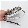 24VDC RGBWW LED Strip light 5m