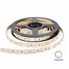 LED-Streifen Lichtstreifen 5m Tunable white CCT 2800-6500K